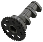 Hot Cams Stage 1 Intake Camshaft (4023-1IN)