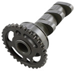 Hot Cams Stage 2 Intake Camshaft (4054-2IN)