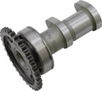 Hot Cams Stage 1 Intake Camshaft (2041-1IN)