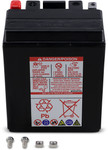Yuasa YTX14L AGM Maintenance Free Battery (YUAM7RH4L)