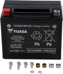 Yuasa YTX20 AGM Maintenance Free Battery (YUAM42RBS)