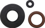 Vertex Engine Oil Seal Kit (55225)