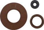 Vertex Engine Oil Seal Kit (55229)