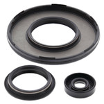 Vertex Engine Oil Seal Kit (55229)