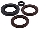 Vertex Engine Oil Seal Kit (622206)