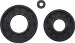 Vertex Engine Oil Seal Kit (55182)
