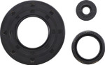 Vertex Engine Oil Seal Kit (55217)