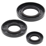 Vertex Crankshaft Oil Seal & Spring Kit (622202)