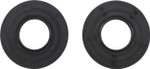 Vertex Engine Oil Seal Kit (55109)