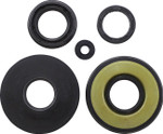 Vertex Engine Oil Seal Kit (55133)