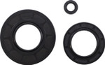 Vertex Engine Oil Seal Kit (55102)