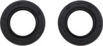 Vertex Engine Oil Seal Kit (55156)