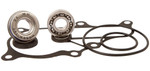 Hot Rods Water Pump Bearing & Seal Rebuild Kit '06-21 Raptor YFM 700R (WPK0024)
