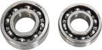 Hot Rods Engine Counter Balancer Shaft Bearing Kit '88-06 YFS200 (BBK0021)