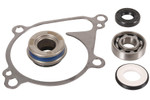Hot Rods Water Pump Bearing & Seal Rebuild Kit '12-21 Brute Force 750 (WPK0063)
