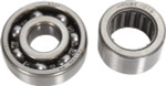 Hot Rods Engine Counter Balancer Shaft Bearing Kit 2006-2009 LT-R450 (BBK0017)