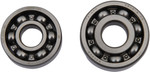 Hot Rods Engine Counter Balancer Shaft Bearing Kit (BBK0026)