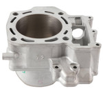 Cylinder Works Rear Standard Bore Engine Cylinder (30008)