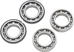 Hot Rods Engine Counter Balancer Shaft Bearing Kit (BBK0031)