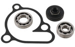 Hot Rods Water Pump Bearing & Seal Rebuild Kit 2004-2007 Suzuki RM125 (WPK0042)