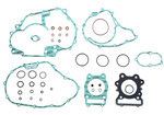 Athena Complete Gasket Kit w/out Oil Seals (P400210850258)