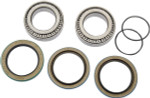 Pivot Works Rear Wheel Bearing & Seal Kit (PWRWK-P10-000)