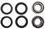 Pivot Works Front Wheel Bearing & Seal Kit (PWFWK-A01-542)