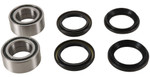 Pivot Works Rear Wheel Bearing & Seal Kit (PWRWK-H21-600)