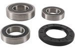 Pivot Works Rear Wheel Bearing & Seal Kit (PWRWS-S17-000)