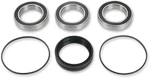 Pivot Works Rear Wheel Bearing & Seal Kit (PWRWK-H04-400)