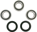 Pivot Works Rear Wheel Bearing & Seal Kit (PWRWK-HQ01-001)