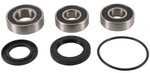 Pivot Works Rear Wheel Bearing & Seal Kit (PWRWS-K14-000)