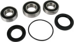 Pivot Works Rear Wheel Bearing & Seal Kit (PWRWS-K14-000)