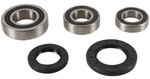 Pivot Works Rear Wheel Bearing & Seal Kit (PWRWS-S42-000)