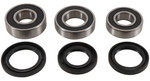 Pivot Works Rear Wheel Bearing & Seal Kit (PWRWK-G01-001)