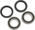 Pivot Works Rear Wheel Bearing & Seal Kit (PWRWK-H31-000)