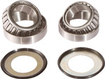 Pivot Works Steering Stem Bearing & Seal Kit (PWSSK-H01-521)