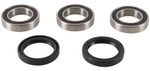 Pivot Works Rear Wheel Bearing & Seal Kit (PWRWK-K13-021)