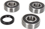 Pivot Works Rear Wheel Bearing & Seal Kit (PWRWK-S30-000)