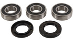 Pivot Works Rear Wheel Bearing & Seal Kit (PWRWK-K07-521)