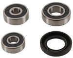 Pivot Works Rear Wheel Bearing & Seal Kit (PWRWK-K15-001)