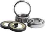Pivot Works Steering Stem Bearing & Seal Kit (PWSSK-HD01-000)