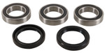 Pivot Works Rear Wheel Bearing & Seal Kit (PWRWK-S22-400)