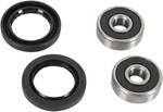 Pivot Works Front Wheel Bearing & Seal Kit (PWFWS-H09-000)