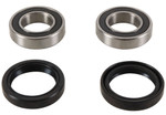 Pivot Works Front Wheel Bearing & Seal Kit (PWFWK-S07-021)