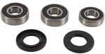 Pivot Works Rear Wheel Bearing & Seal Kit (PWRWK-S06-020)