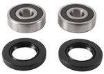 Pivot Works Front Wheel Bearing & Seal Kit (PWFWS-Y09-000)