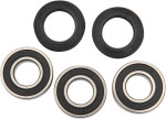 Pivot Works Rear Wheel Bearing & Seal Kit (PWRWK-S08-021)