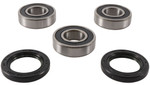 Pivot Works Rear Wheel Bearing & Seal Kit (PWRWK-S09-021)