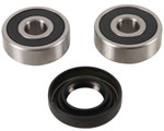 Pivot Works Rear Wheel Bearing & Seal Kit (PWRWK-Y29-001)